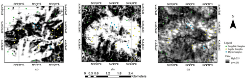 Figure 9. A) band ratio image using Equationeqn 1(1) 1b122(average(b161−b165)/(average(b148−b150)+average(b138−b139))(1) , b) band ratio image using Equationeqn 2(2) b66/b126+b45(2) , and c) band ratio image using Equationeqn 3(3) averageb143+b144/averageb133+b134(3) .