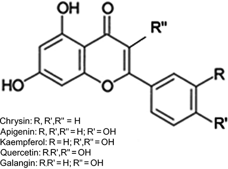 Figure 4 Chemical structures of honey flavonoids.
