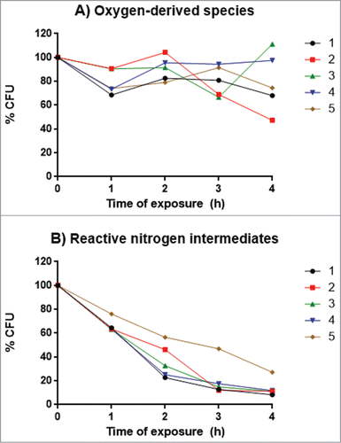 Figure 6. Percentage of viable yeasts after 4 h of exposure to different oxidative stress conditions. (A) Exposure to oxygen-derived species. (B) Exposure to reactive nitrogen intermediates. The 5 isolates (107 yeasts / mL) were in the specific media at 37°C and after each time point samples of 100 μL were plated onto PCA for CFU determinations. Points represent medians of 2 experiments performed in triplicate.