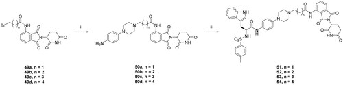 Scheme 5. Synthesis of AIMP2-DX2 PROTACs 51–54. Reagents and conditions: (i) 4-(piperazin-1-yl) aniline, K2CO3, MECN, reflux, overnight; (ii) compound 42, HATU, DIPEA, DCM, 25 °C, 1 h, overnight.