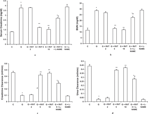 Figure 1. Effect of resveratrol (2, 5, and 10 mg/kg) and L-NAME (10 mg/kg) on serum creatinine (a), blood urea nitrogen (BUN) (b), creatinine clearance (c), and urea clearance (d) in glycerol-treated rats. The values are expressed as mean ± SEM. *p < 0.05 as compared with the control group; **p < 0.05 as compared with the glycerol-treated group; a p < 0.05 as compared with RVT 5 + G-treated group (one-way ANOVA followed by Dunnett's test).