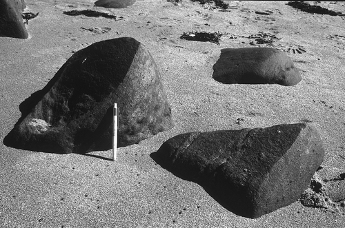 Figure 25 Wind-abraded boulders (ventifacts) of Torridon Sandstone on the beach at Opinan, Wester Ross. Source: Photograph by Dr Peter Wilson