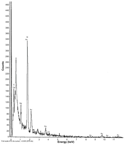 Figure 5 EDX data of colloidal gold nanoparticles alone.Abbreviation: EDX, energy dispersive X-ray spectroscopy.
