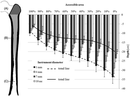 Figure 2. Reachable depths in correlation to the accessible area of a cross section. The reachable depths and standard deviations of instruments with 1, 4, 7, and 10 mm diameter are shown. The size of the femur (left) is adjusted to the scale of the graph (right). Accessible volume in the femoral canal marked in light gray. From the osteotomy (A) down to position B, 100% of the femoral canal is accessible. Between positions B and C, the accessible area decreases from 100% to 0%.