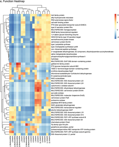 Figure 2. (Continued).