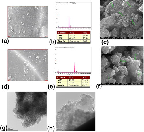 Figure 2. EDAX analysis (a and b) and SEM image (c) of chemically synthesized TiO2 nanoparticles. EDAX analysis (e and f) and SEM image (g) of green synthesized TiO2 nanoparticles. The HR-TEM image of (g) chemically synthesized TiO2 nanoparticles and (h) green synthesized TiO2 nanoparticles.