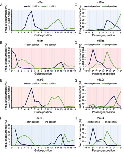 Figure 3. Significant start and end positions of each responsible region in the miRNA duplex. Distribution of start and end positions in miRNA duplex regions of Tm (miTm) with (A) top 10 most negative and (B) top 10 most positive luc correlations across guide position 1–19; (C) top 5 most negative and (D) top 5 most positive luc correlations across passenger positions 10*–1*. Similarly, distribution of start and end positions of miRNA duplex regions of ΔG (miΔG) with (E) top 10 most positive and (F) top 10 most negative luc correlations across guide positions 1–19; (G) top 5 most positive and (H) top 5 most negative luc correlations across passenger positions 10*–1* Repeated sampling was repeated 1000 times in the calculation of each region. * = passenger positions, where positions were counted from 5´-end of the passenger strand. Red background colour = positive luc correlations; blue background colour = negative luc correlations.