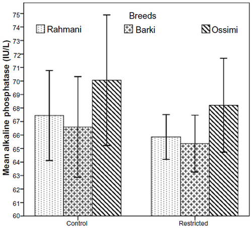Figure 9 Alkaline phosphatase levels in control and diet-restricted Barki, Rahmani, and Ossimi ewes.