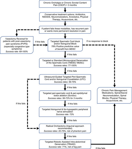 Figure 1 Chronic orchialgia or chronic scrotal content pain (CSP) management algorithm.