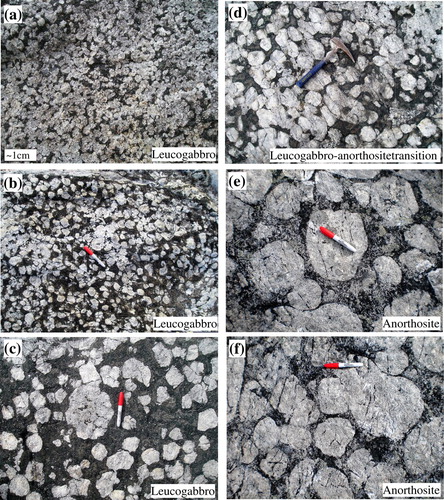 Figure 3. Field photographs of megacrystic leucogabbro and anorthosites in the Fiskenæsset Anorthosite Complex, western Greenland, showing the various stages of anorthosite development. Permanent marker has a length of 15 cm. (b) modified from Polat et al. (Citation2009); (c) modified from Huang et al. (Citation2012).