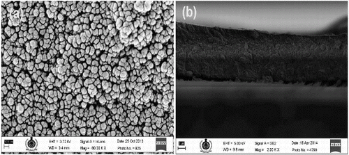 Figure 3. FESEM images of TiO2 nanoparticles deposited on FTO glass by electrophoresis. (a) Morphology of TiO2 nanoparticles. (b) Cross section of TiO2 nanoparticles with FTO.