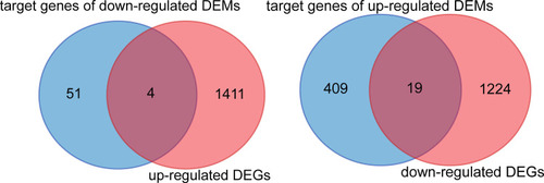 Figure 4 Intersection genes between DEGs and target gene of DEMs. DEGs, significantly differentially expressed genes (mRNA) between ATB and HD; DEMs, significantly differentially expressed genes (miRNA) between ATB and HD.