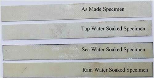 Figure 2. As-made specimen and different water-soaked specimens.