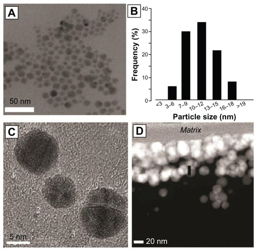 Figure 5 X-ray electron microscopy image of silver nanoparticles (A) and a particle size distribution histogram (B) of those particles. Higher magnification reveals polyhedral structure (C). Nondisruptive electron transmission microscopy reveals an 80–120 nm coating of silver nanoparticles on the surfaces of a polymer catheter (D).