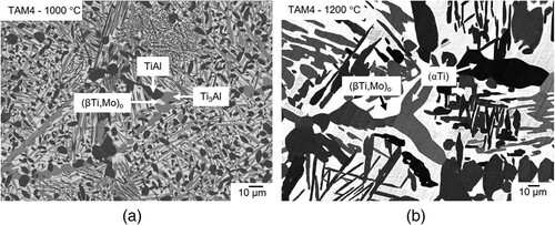 Figure 4. BSE image of alloy TAM4 (Ti-39.6Al-2.0Mo) (a) heat-treated at 1000 °C showing a three-phase microstructure consisting of (βTi,Mo)o (bright), Ti3Al (grey), and TiAl (dark) and (b) heat-treated at 1200 °C showing a two-phase microstructure composed of (αTi) (dark) and (βTi,Mo)o (bright) (although there appear to be different dark contrasts, the measured compositions were found to be identical).