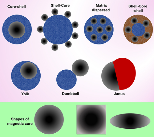Figure 3 Different coating structures for synthesis of MNCs and common shapes of the magnetic core.Citation171