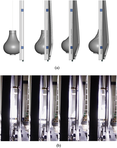 Figure 13. Comparison of the deformation behavior in impact scenario B1: (a) Numerical simulation and (b) Experiment.