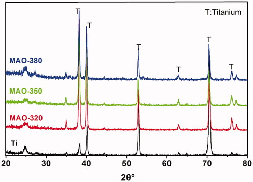 Figure 6. XRD results for the samples.