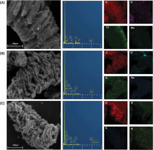 Figure 12. SEM–EDAX mapping of expanded graphite before (a) and after adsorption for Congo red (b) and methylene blue (c)