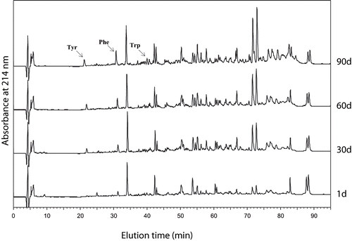 Figure 2 Reverse-phase HPLC profiles of the water soluble fraction of Turkish White Cheese at 1, 30, 60, and 90 days of ripening (Tyr: Tyrosine; Phe: Phenylalanine; Trp: Tryptophan, see text).