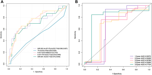 Figure 4 (A) The AUC of miR-381+Ki-67+T+N model was the largest. The AUC of miR-381+Ki-67+T+N model is 0.719 (0.580, 0.857), the AUC of miR-381 model is 0.713 (0.575, 0.848), the AUC of Ki-67 model is 0.698 (0.613, 0.742), the AUC of Ki-67+T+N model is 0.712 (0.575, 0.848), and the prediction efficiency of T+N model is the lowest, AUC is 0.479 (0.329–0.629). (B) The ROC curve of time dependence showed that the predictive performance at 1.5 year was AUC=0.9075, at 2 year was AUC=0.8468, at 2.5 year was AUC=0.8789, at 3 year was AUC=0.9066, at 3.5 year was AUC=0.7724.