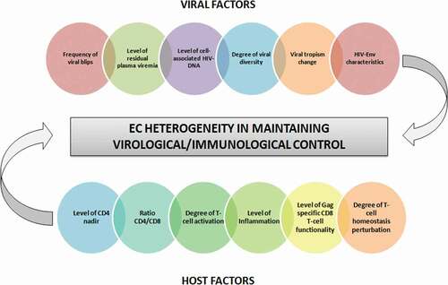 Figure 2. Factors determining the heterogeneity of EC patients in maintaining virological/immunological control.