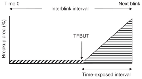 Figure 2 Schematic diagram of % corneal area exposed versus time during a single interblink interval.