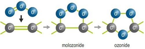 Figure 1 Reaction of gaseous ozone and double carbon-carbon bonds of unsaturated fatty acids to form ozonides.