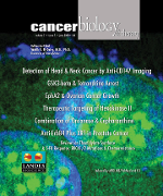 Cover image for Cancer Biology & Therapy, Volume 7, Issue 7, 2008