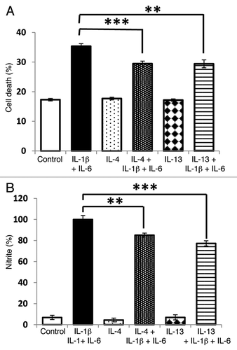 Figure 8. Potentiation of cytokine induced cytotoxicity by IL-6 is sensitive to IL-13. INS-1E cells were pre-incubated with IL-13 (20 ng/ml) or IL-4 (20 ng/ml) for 48 h before exposure to IL-1β (20 ng/ml) and IL-6 (20 ng/ml) for a further 48 h. Following treatment, cell viability was measured by flow cytometry (A), and nitrite synthesis was assessed by the Griess assay (B). Data represent mean values ± SEM (n = 3), **p < 0.01, ***p < 0.001 as indicated.
