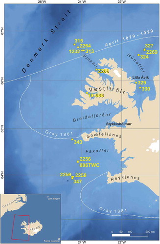 Figure 1. Location map (see insert map for overall location). Dotted line shows the average April position 1870–1920 CE of the sea-ice edge (15 percent ice coverage). The lines labeled “Gray 1881” indicate the extent of sea ice as noted in his map (Gray Citation1881a). The full identifications for the cores are listed in Table 1. The names of the troughs in this part of the Iceland shelf are used in Figure 8A–D.