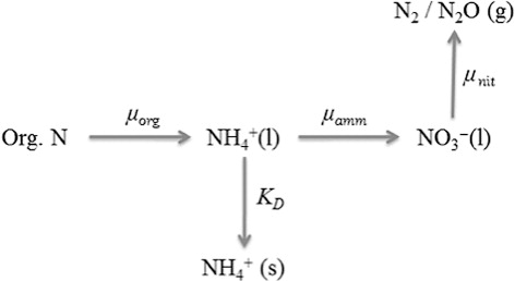 Figure 1. Simulated N cycle. Decay rates (μamm, μorg, and μnit) describe nitrification, mineralization, and denitrification reactions. Ammonium adsorption is described with distribution coefficient, KD.