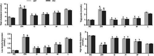 Figure 5 Effect of DMDD on the levels of TC, TG, HDL, and LDL in the serum (n=6). NC: normal control, DN: diabetic nephropathy group, G: gliquidone group (10 mg.kg−1.d−1), H: high dosage of DMDD group (50 mg.kg−1.d−1), M: medium dosage of DMDD group (25 mg.kg−1.d−1), L: low dosage of DMDD group (12.5 mg.kg−1.d−1). A and B: compared with the normal control groups (P<0.05); a, b: compared with the diabetic nephropathy groups (P<0.05).