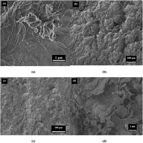 Figure 10. Low and high magnification SEM micrographs of fractured surfaces. (a) high magnification imaging of aggregated nanoclays on fractured surface of 3% MMT/LDPE. (b) and (c) fractured surfaces of pure LDPE and 3% MMT/LDPE composite respectively, and (d) high magnification SEM of pure LDPE fracture.