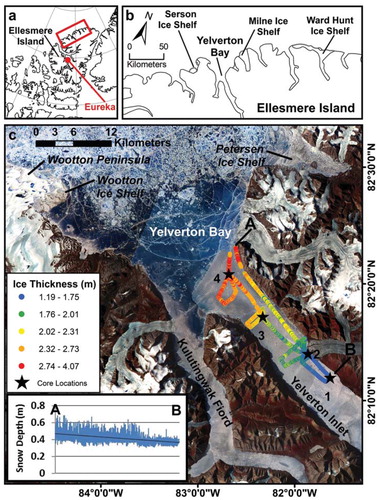 FIGURE 1. (a) Location of study site on northern Ellesmere Island, (b) NW coast of Ellesmere Island showing location of Yelverton Bay and ice shelves as of July 2009. (c) ASTER mosaic (July 2009, see Table 1 for acquisition dates) of Yelverton Bay and surrounding features, ice core locations, and ice thicknesses derived from GPR surveys on 2 June 2009. Inset graph shows GPR-derived snow depth profile from Point A to B.