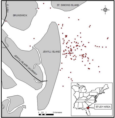 Figure 1. Atlantic Tripletail sampling location near Jekyll Island, Georgia. Inset shows a map of the southeast United States, with the Jekyll Island area indicated by the arrow. Each point on the map indicates capture location of one or more tripletail. All fish were captured in April to August 2009 and 2010.