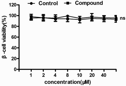 Figure 8. No cytotoxicity of the compound on β-cells. The β-cells in the logical growth phage were collected and treated with serial different dilutions of the compound for 48 h incubation. The viability of the new compound was evaluated with CCK-8 assay