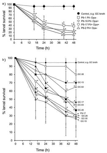 Figure 4. A) Infection of Galleria mellonella with different phenotypic variants of Neisseria gonorrhoeae strain P9. Healthy larva (n = 10 per group) were infected with different P9 variants (~6-8 × 107 CFU per larva of P9-1 Pil- Opa-; P9-2 Pil+ Opa-; P9-16 Pil- Opa+; P9-17 Pil+ Opab+), incubated at 37°C and examined for survival over a period of 48 h. Symbols represent mean survival from a minimum of 3 independent experiments and error bars represent the standard deviation of the mean. Unpaired t test was done at each time point to compare survival of larvae infected with P9 variants and control, GC-injected larvae. * denotes statistical significance with P < 0.01. B) Infection of Galleria mellonella with different Neisseria gonorrhoeae isolates. Healthy larva (n = 10 per group) infected with different gonococcal isolates (~6-8 × 107 CFU per larva), incubated at 37°C and examined for survival over a period of 48 h. Symbols represent the mean survival from a minimum of 3 independent experiments and the error bars represent the standard deviation of the mean. Unpaired t test was done to compare survival of larvae infected with the different isolates and control, uninfected larvae injected with GC broth alone. * denotes statistical significance with P < 0.001. In addition, Unpaired t test was done to compare survival of the larvae infected with the different isolates compared to P9-17 (see text for statistical significance)