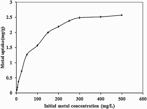 Figure 5. Effect of initial metal concentration on biosorption studies of Hg(II) by P. cruentum (biosorbent dosage = 0.25 g/L, pH = 7, contact time = 120 min).