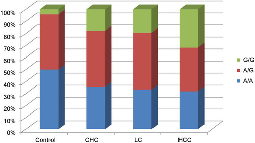 Figure 2 Distribution of LTA genotypes in the studied groups showing that A/A is the predominant genotype in the control group (50%). G/G genotype is more frequent in HCC group (31.8%) than the other studied groups (17.9% in CHC,19.4% in LC and 4.2% in control group).