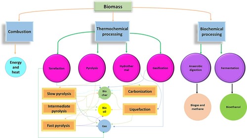 Figure 1. Several processing strategies for enhancing the properties and application of biomass (Reproduced from reference (Citation4) with permission from The American Chemical Society).