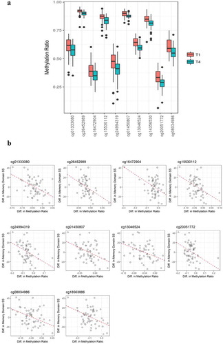 Figure 2. (a). Boxplot showing methylation ratios at T1 and T4 on ten significantly differentially methylated CpG sites. All of these sites showed reduced methylation at T4. Black dots present outliers of the methylation ratios. (b). Directional associations between changes in methylation ratios and changes of memory domain scores at 10 CpG positions. Significant inverse correlations were observed between differences in DNA methylation values and differences in memory domain standardized scores.