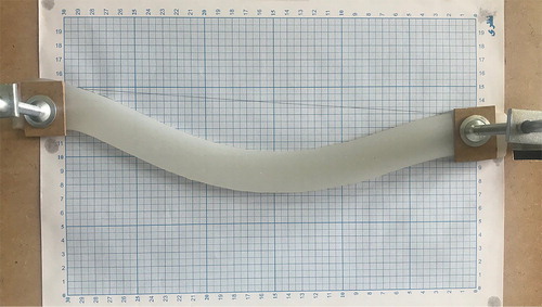 Figure 11. The silicone body in the vertical position.