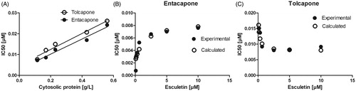 Figure 6. The effects of the cytosolic protein and esculetin concentrations on the IC50 values of entacapone and tolcapone in rat liver cytosol. The inhibition of esculetin 6-O-methylation was determined in 100 mM phosphate pH 7.4 buffer containing 10 mM of MgCl2, the cytosolic protein, 100 µM of PAPS, the indicated concentration of esculetin, and 0 – 1 µM of entacapone or tolcapone. In panel A, the cytosolic protein concentration varied between 0.1 and 0.6 g/L, and 10 µM esculetin was used as a substrate. In panels B and C, the cytosolic protein concentration was 0.2 g/L, and the esculetin concentration varied between 0 and 10 µM.