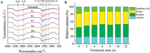 Figure 5. (a) FTIR spectra of MP by different APPJ treatment times; (b) Effects in secondary structure content of MP by different APPJ treatment times.