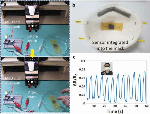 Figure 5. (a) Taking a photo on phone when dipping the sensor underwater, (b) Sensor integrated into the mask, (c) Breathing signal