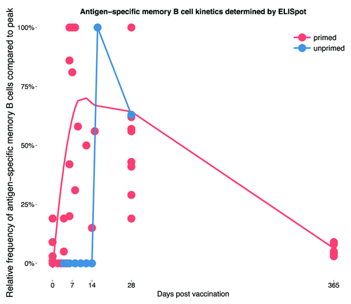 Figure 2. The kinetics of the memory B cell response to polysaccharide-containing vaccines in primed and unprimed individuals. Data taken from studies reporting on at least one additional time point other than baseline and 1 mo post-vaccination.Citation5-Citation8 Values are plotted as a percentage of the maximum response within the observed time period and then smoothed (see Figure legend 1; for the “unprimed” group data points were directly connected as smoothing in a similar way was not possible) across all 5 studies represented by the lines for vaccine primed and unprimed individuals, respectively.