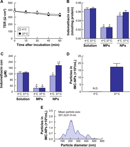 Figure 3 Transepithelial penetration of indomethacin in IMC-NPs at 4°C and 37°C using HCE-T cell monolayers.Notes: (A) Changes of TER in HCE-T cell monolayers treated with IMC-NPs 4°C and 37°C. Accumulation (B) and penetration (C) of indomethacin in HCE-T cells treated with IMC-solution, IMC-MPs and IMC-NPs, at 4°C and 37°C. Number (D) and size frequencies (E) of indomethacin nanoparticles in the basolateral side at 4°C conditions. n=6. *P<0.05 vs 37°C conditions for each category. #P<0.05 vs IMC solution at 37°C conditions. The accumulation of indomethacin tended to be less at 4°C, and transepithelial penetration was significantly prevented at 4°C.Abbreviations: IMC-MPs, ophthalmic formulation containing indomethacin microparticles; IMC-NPs, ophthalmic formulation containing indomethacin nanoparticles; con, concentration; TER, transepithelial electrical resistance.