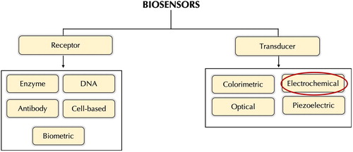 Figure 1. Main types of biosensors. Concepts were adapted from Perumal and Hashim (Citation2014).