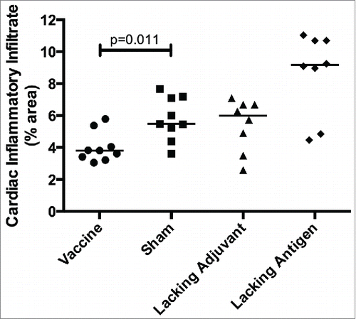 Figure 8. Therapeutic efficacy as measured by cardiac inflammatory infiltrate Mice were infected with T. cruzi, and then immunized at days 7 and 14 post infection. At 50 days post infection, the vaccine was compared to controls lacking the CpG ODN (lacking adjuvant control) or the Tc24 protein (lacking antigen control), both delivered in the nanoparticle delivery system, as well as a sham vaccine group. Quantification of the percentage of area occupied by inflammatory cell nuclei in the cardiac tissue over 5 representative fields of view (100x). Each point represents an individual animal (n = 8–9); median values are denoted by horizontal lines. Significance was assessed by the Kruskal-Wallis test with the post-hoc comparison of all groups to the sham vaccine control using the Mann-Whitney test with Bonferroni adjustment.